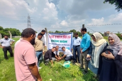 Peyd Lagao Peyd Bachao Abhiyan, Tree Plantation in Hayat Unani Medical College & Research Centre 2024
